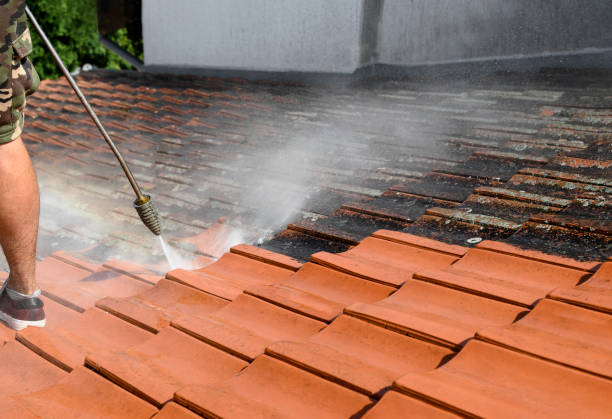 Best Concrete Pressure Washing  in Miami Lakes, FL