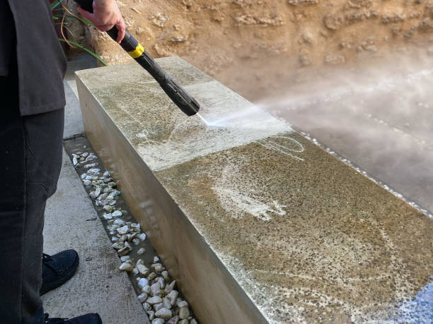 Best Deck Pressure Washing  in Miami Lakes, FL